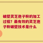 破壁灵芝孢子粉的加工过程？最有效的灵芝孢子粉破壁技术是什么