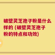 破壁灵芝孢子粉是什么样的 (破壁灵芝孢子粉的特点和功效)