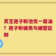 灵芝孢子粉泡完一层油？孢子粉破壳与破壁区别