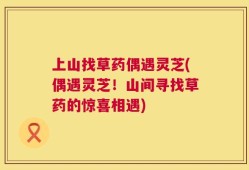上山找草药偶遇灵芝(偶遇灵芝！山间寻找草药的惊喜相遇)