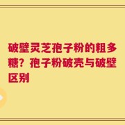 破壁灵芝孢子粉的粗多糖？孢子粉破壳与破壁区别