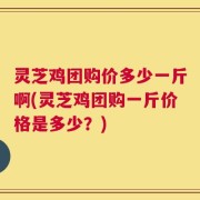 灵芝鸡团购价多少一斤啊(灵芝鸡团购一斤价格是多少？)