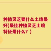 种植灵芝要什么土壤最好(最佳种植灵芝土壤特征是什么？)