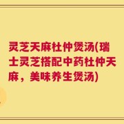 灵芝天麻杜仲煲汤(瑞士灵芝搭配中药杜仲天麻，美味养生煲汤)