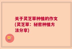 关于灵芝草种植的作文(灵芝草：秘密种植方法分享)