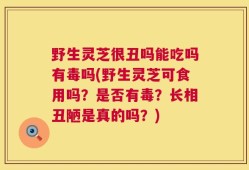 野生灵芝很丑吗能吃吗有毒吗(野生灵芝可食用吗？是否有毒？长相丑陋是真的吗？)