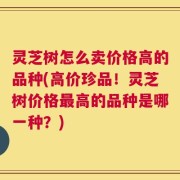 灵芝树怎么卖价格高的品种(高价珍品！灵芝树价格最高的品种是哪一种？)