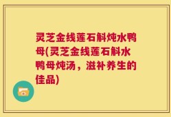 灵芝金线莲石斛炖水鸭母(灵芝金线莲石斛水鸭母炖汤，滋补养生的佳品)