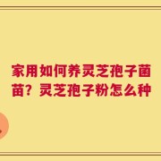 家用如何养灵芝孢子菌苗？灵芝孢子粉怎么种