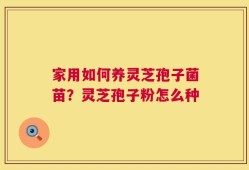 家用如何养灵芝孢子菌苗？灵芝孢子粉怎么种