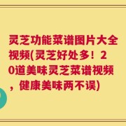 灵芝功能菜谱图片大全视频(灵芝好处多！20道美味灵芝菜谱视频，健康美味两不误)