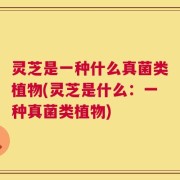 灵芝是一种什么真菌类植物(灵芝是什么：一种真菌类植物)