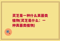灵芝是一种什么真菌类植物(灵芝是什么：一种真菌类植物)
