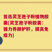 首选灵芝孢子粉植物胶囊(灵芝孢子粉胶囊：强力养颜护肝，提高免疫力)