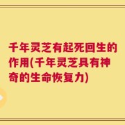 千年灵芝有起死回生的作用(千年灵芝具有神奇的生命恢复力)
