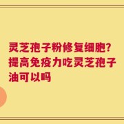 灵芝孢子粉修复细胞？提高免疫力吃灵芝孢子油可以吗