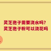 灵芝孢子需要浇水吗？灵芝孢子粉可以浇花吗