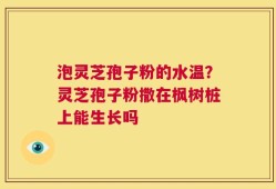 泡灵芝孢子粉的水温？灵芝孢子粉撒在枫树桩上能生长吗