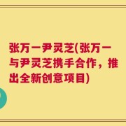 张万一尹灵芝(张万一与尹灵芝携手合作，推出全新创意项目)