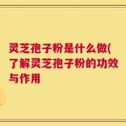 灵芝孢子粉是什么做(了解灵芝孢子粉的功效与作用