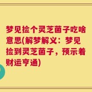 梦见捡个灵芝菌子吃啥意思(解梦解义：梦见捡到灵芝菌子，预示着财运亨通)