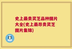 史上最贵灵芝品种图片大全(史上最昂贵灵芝图片集锦)