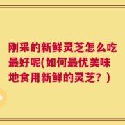 刚采的新鲜灵芝怎么吃最好呢(如何最优美味地食用新鲜的灵芝？)
