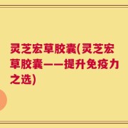 灵芝宏草胶囊(灵芝宏草胶囊——提升免疫力之选)