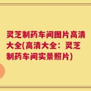 灵芝制药车间图片高清大全(高清大全：灵芝制药车间实景照片)