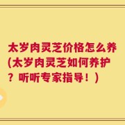 太岁肉灵芝价格怎么养(太岁肉灵芝如何养护？听听专家指导！)