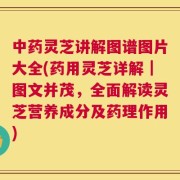 中药灵芝讲解图谱图片大全(药用灵芝详解｜图文并茂，全面解读灵芝营养成分及药理作用)