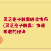 灵芝孢子胶囊吸收快吗(灵芝孢子胶囊：快速吸收的秘诀