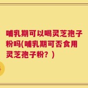 哺乳期可以喝灵芝孢子粉吗(哺乳期可否食用灵芝孢子粉？)