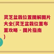 灵芝盆栽位置图解图片大全(灵芝盆栽位置布置攻略 - 图片指南)