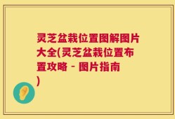 灵芝盆栽位置图解图片大全(灵芝盆栽位置布置攻略 - 图片指南)