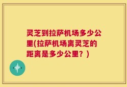 灵芝到拉萨机场多少公里(拉萨机场离灵芝的距离是多少公里？)