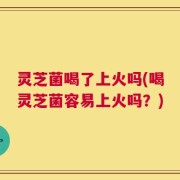 灵芝菌喝了上火吗(喝灵芝菌容易上火吗？)