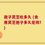 孢子灵芝吃多久 (食用灵芝孢子多久见效？)