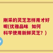 刚采的灵芝怎样用才好呢(优雅品味  如何科学使用新鲜灵芝？)
