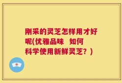 刚采的灵芝怎样用才好呢(优雅品味  如何科学使用新鲜灵芝？)