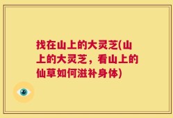 找在山上的大灵芝(山上的大灵芝，看山上的仙草如何滋补身体)