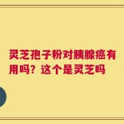 灵芝孢子粉对胰腺癌有用吗？这个是灵芝吗