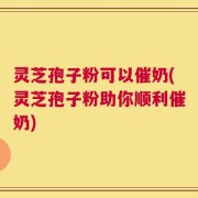 灵芝孢子粉可以催奶(灵芝孢子粉助你顺利催奶)