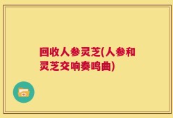 回收人参灵芝(人参和灵芝交响奏鸣曲)