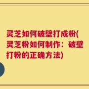 灵芝如何破壁打成粉(灵芝粉如何制作：破壁打粉的正确方法)