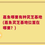 嘉鱼哪里有种灵芝基地(嘉鱼灵芝基地位置在哪里？)