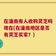 在潼南有人收购灵芝吗现在(在潼南地区是否有灵芝买家？)