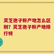 灵芝孢子粉产地怎么区别？灵芝孢子粉产地排行榜