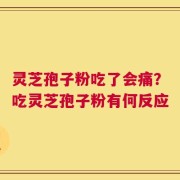 灵芝孢子粉吃了会痛？吃灵芝孢子粉有何反应
