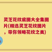灵芝花纹底图大全集图片(精选灵芝花纹图片，带你领略花纹之美)